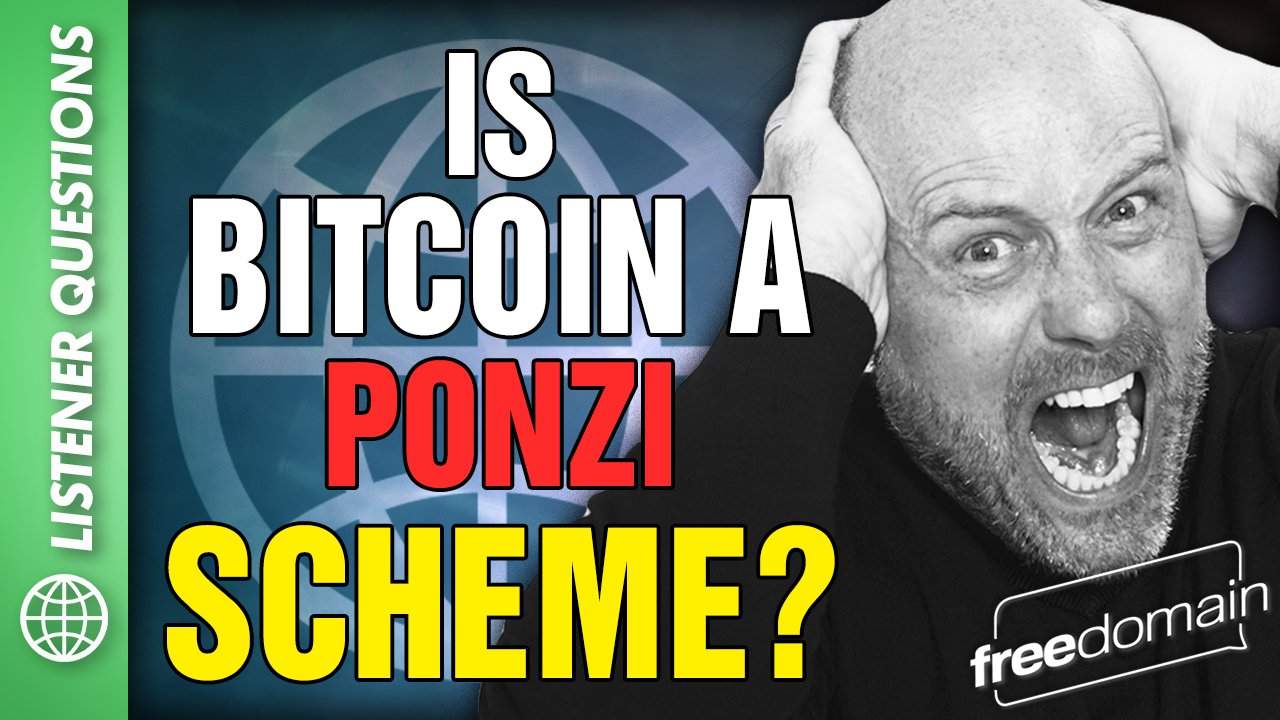 6065 Is Bitcoin a Ponzi Scheme?