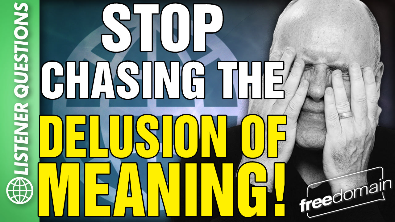 6568 Stop Chasing the Delusion of MEANING! Listener Questions episode artwork